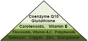 Micronutriments