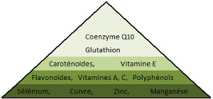 Micronutriments